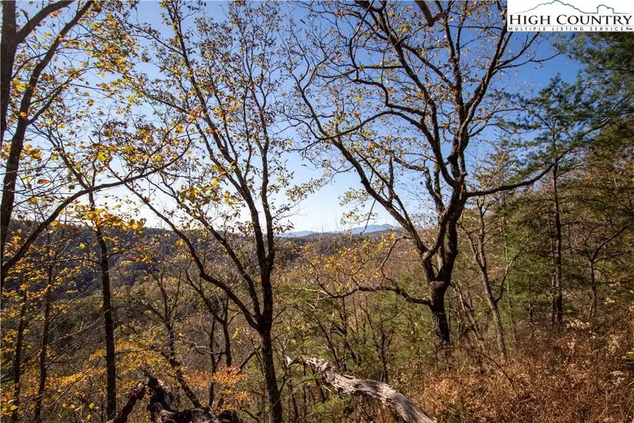 Lot# 547 Autumn Ridge Drive, Lenoir, NC 28645 - #3