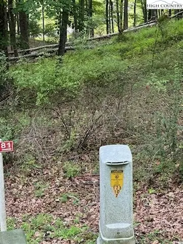 #3