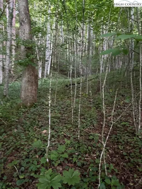 #2
