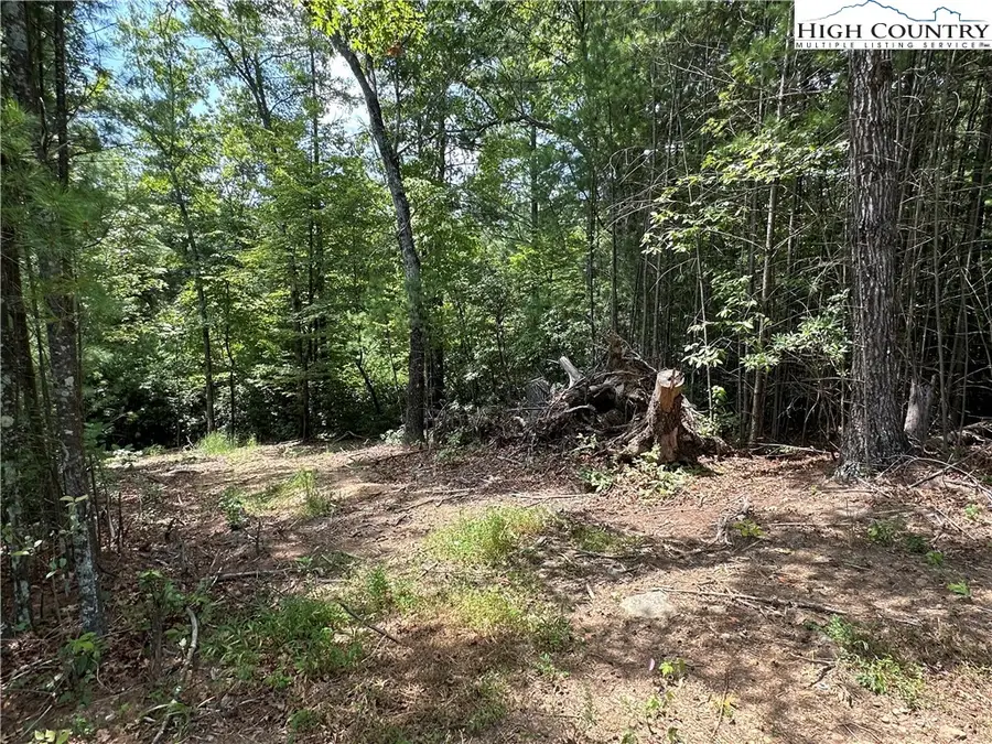 Lot 48E Cascade Run, Purlear, NC 28665 - Image #2