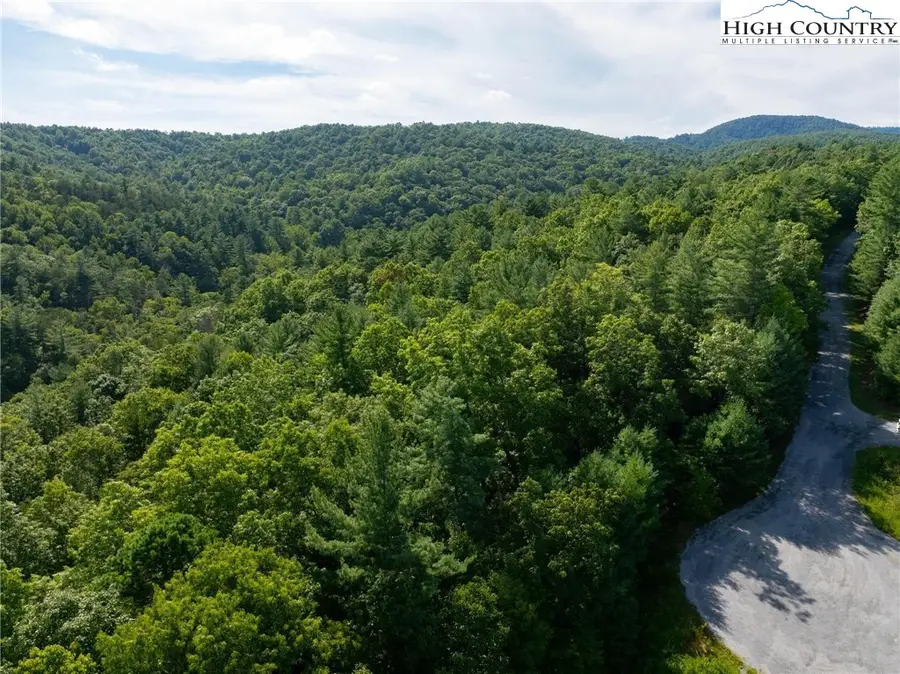 Lot 48E Cascade Run, Purlear, NC 28665 - Image #3