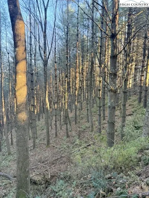 #2