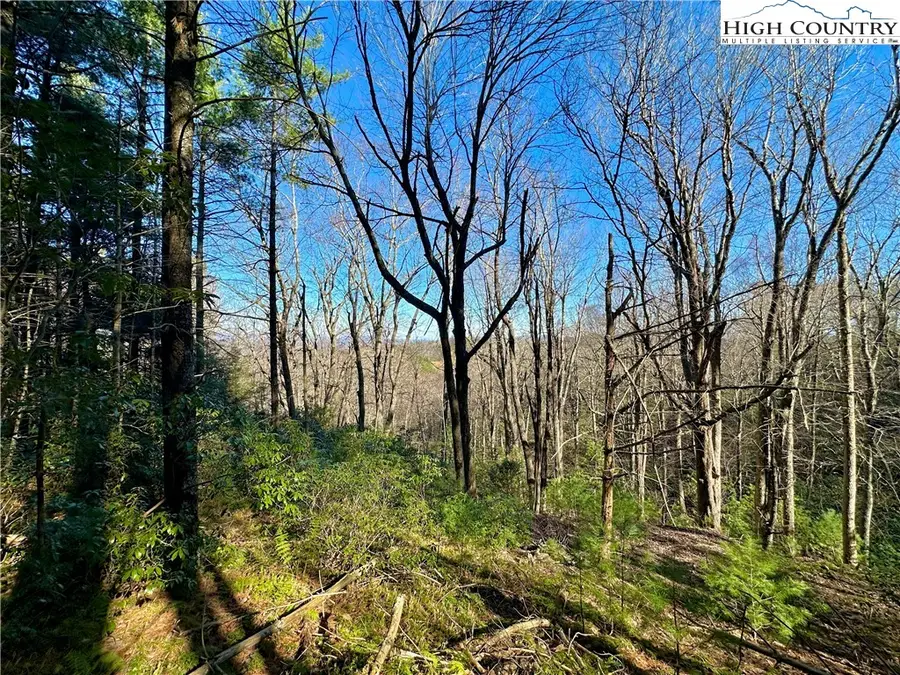 TBD George Hayes Road, Boone, NC 28607 - #2