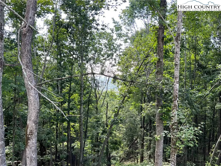 TBD (Lot 69) Poplar Forest Drive, Boone, NC 28607 - #2