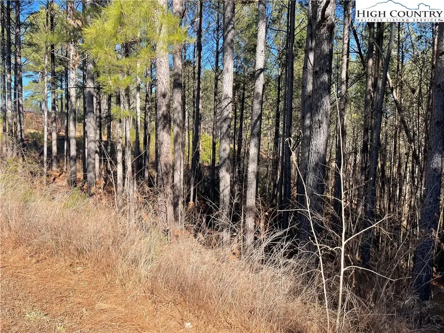 109 Shortoff Trail, Drexel Township, NC 28655 - Image #2