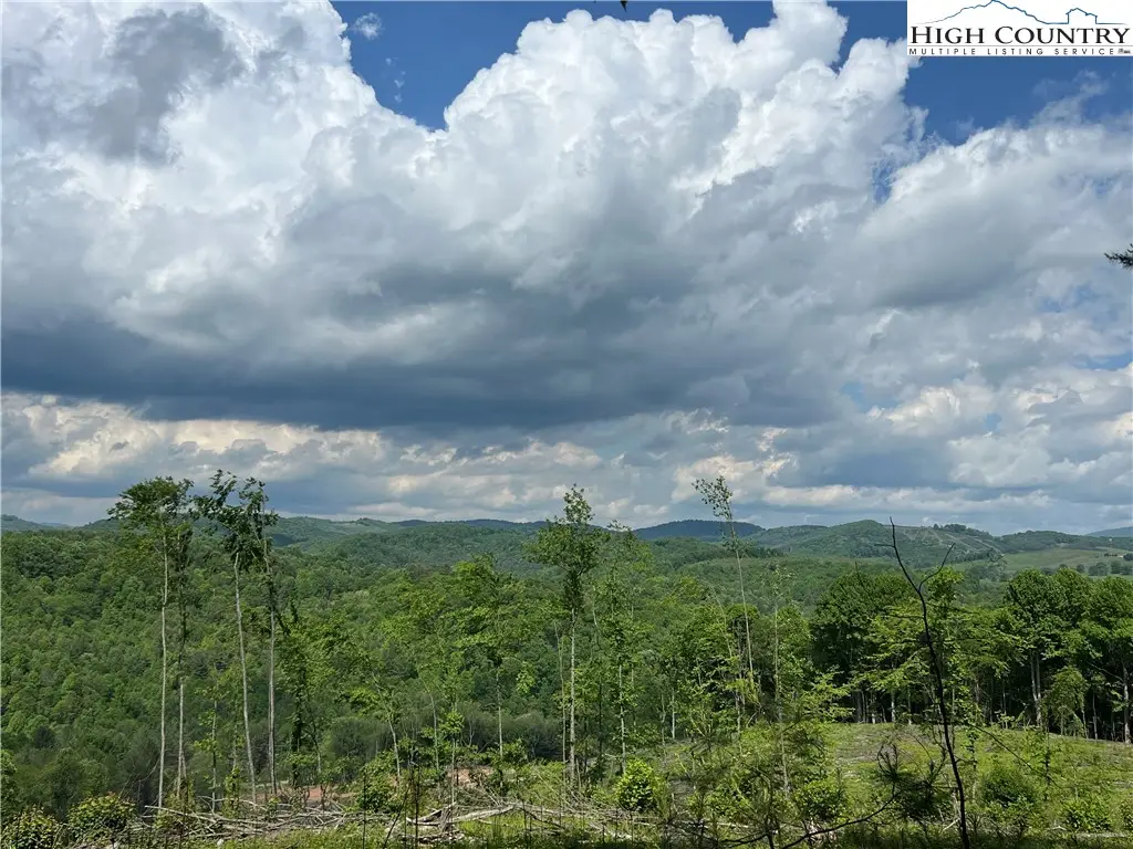 TBD Maines Hill Lane, Prathers Creek, NC 28663 - #1