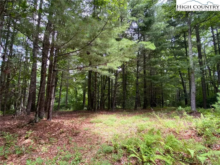 TBD Maines Hill Lane, Prathers Creek, NC 28663 - #2