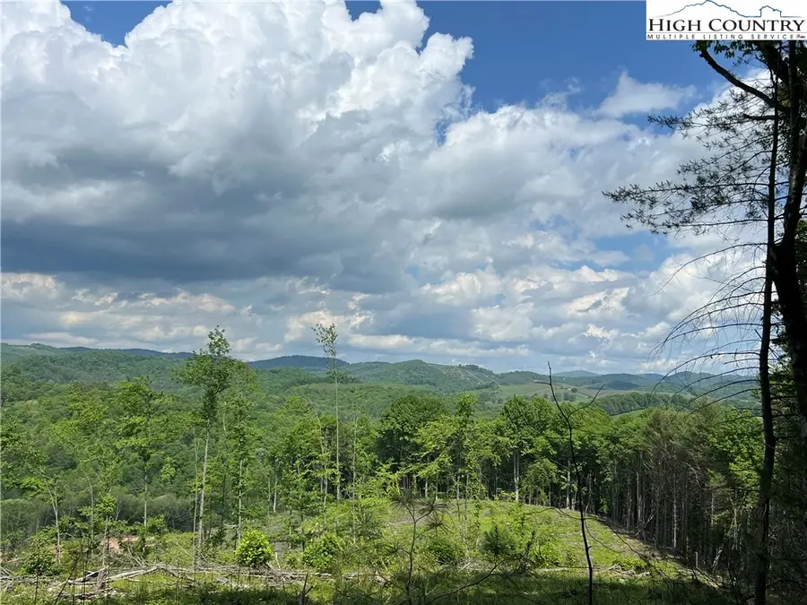 TBD Maines Hill Lane, Prathers Creek, NC 28663 - #3