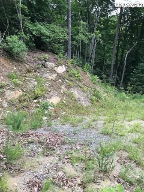 TBD Sheets Gap Road, Millers Creek, NC 28654