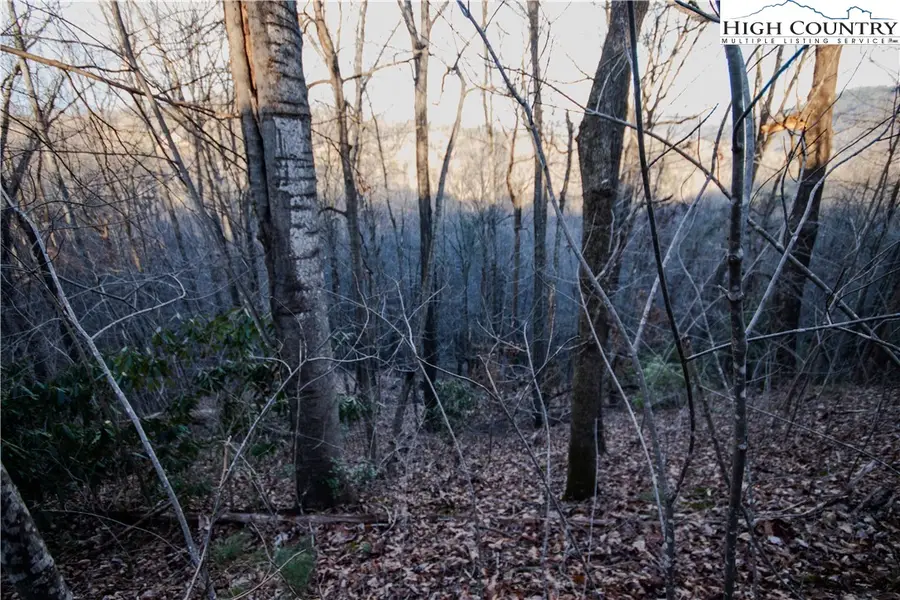 Lot# 22 Autumn Ridge, Lenoir, NC 28645 - #2