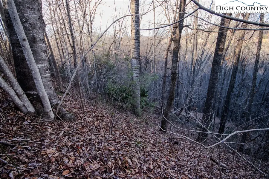 Lot# 22 Autumn Ridge, Lenoir, NC 28645 - #3