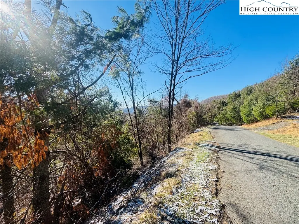 Lot 71 Denise Drive, West Jefferson, NC 28694 - #1