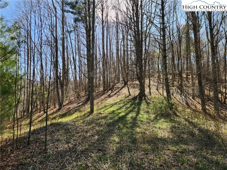 6033 Hwy 321 Highway, Sugar Grove, NC 28679 - #3