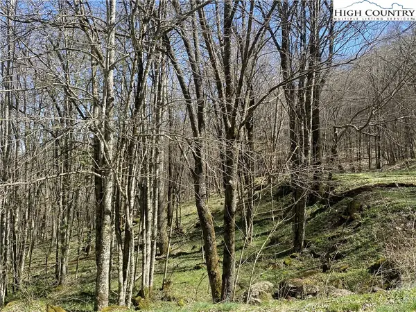 TBD/Lot 1 Trillium Creek Run, Newland, NC 28657