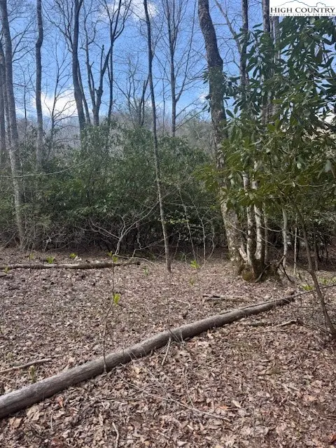 #3