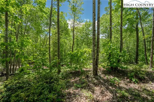 0 Beaver Dam Road, Elk Park, NC 28622