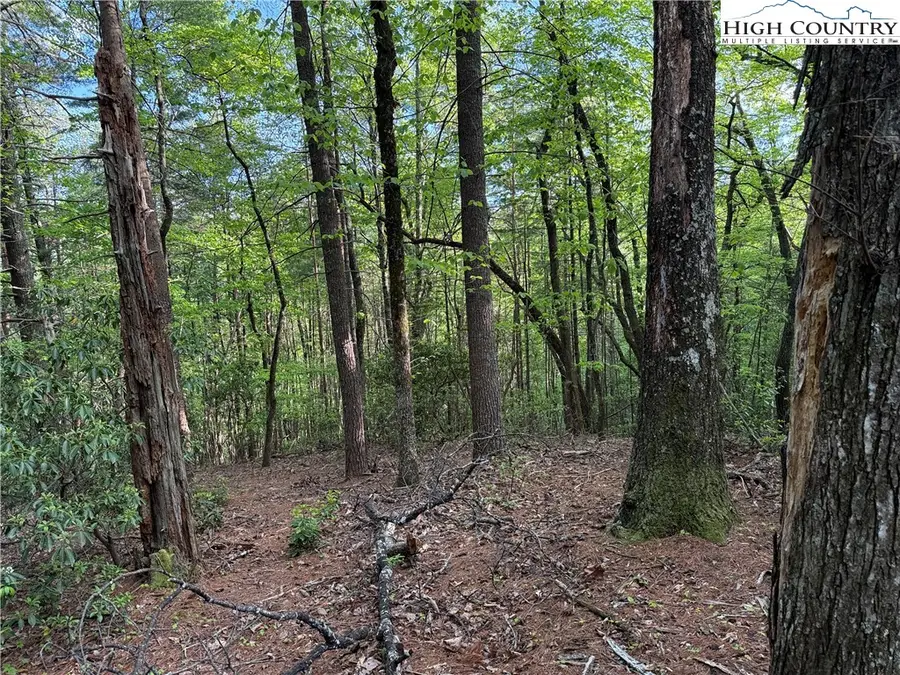 Lot 27 Wolf Pen Road, Purlear, NC 28665 - #3