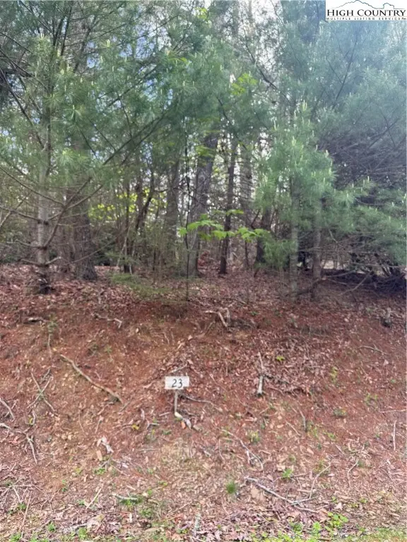 TBD Lot 23 Black Bear Trail, Linville, NC 28646 - #2