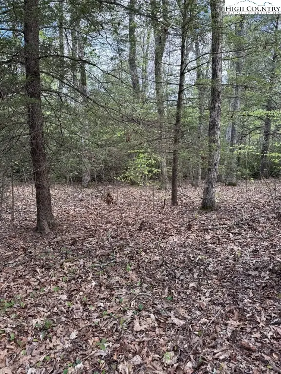 TBD Lot 23 Black Bear Trail, Linville, NC 28646 - #3