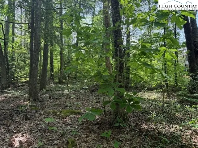 #2