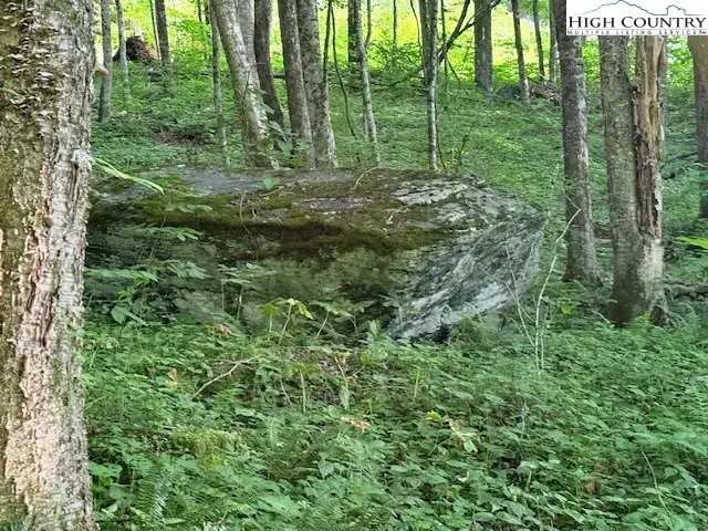#2