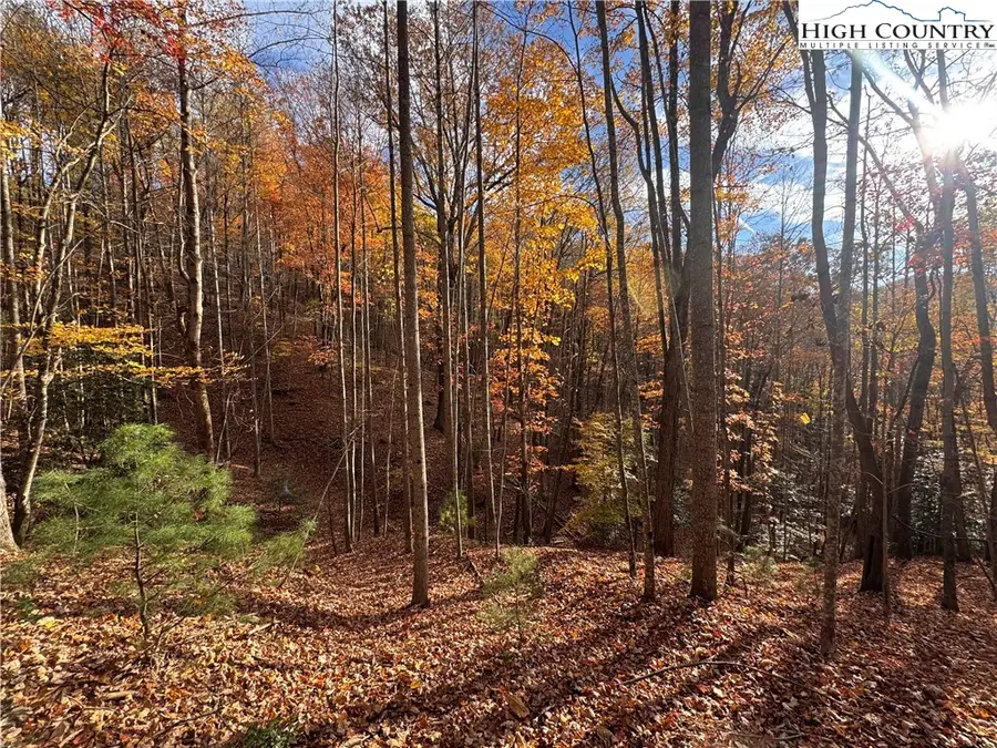 TBD Winklers Way Road, Lenoir, NC 28645 - #2