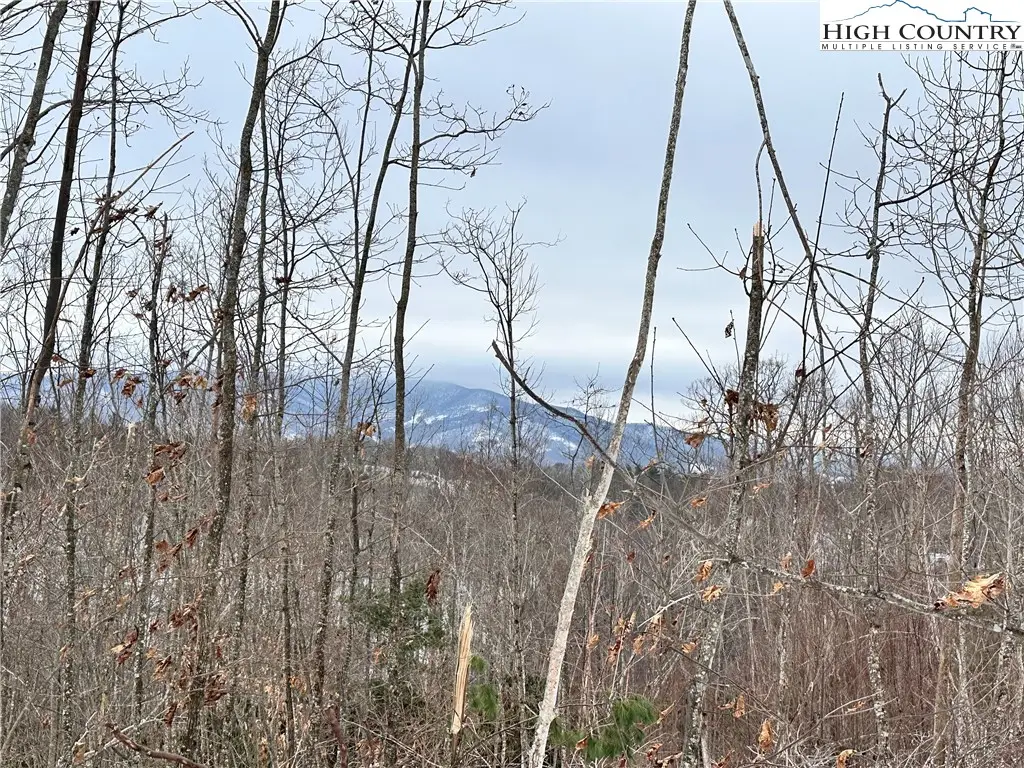 0000 LOT 78 Black Bear Crossing, Elk Park, NC 28622 - #1