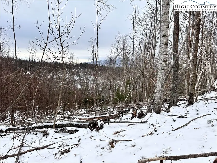 0000 LOT 78 Black Bear Crossing, Elk Park, NC 28622 - #2