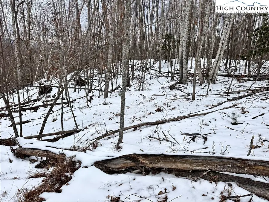 0000 LOT 78 Black Bear Crossing, Elk Park, NC 28622 - #3