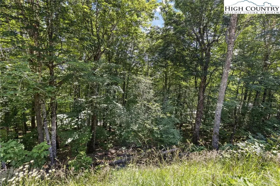 104 Northridge Lane, Beech Mountain, NC 28604 - #2