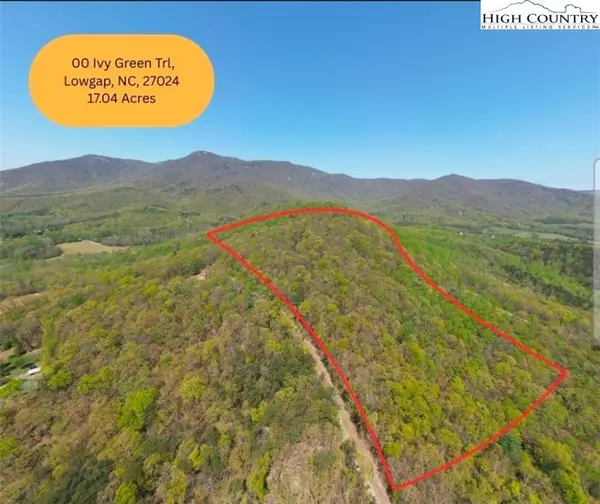 TBD Ivy Green Trail, Lowgap, NC 27024