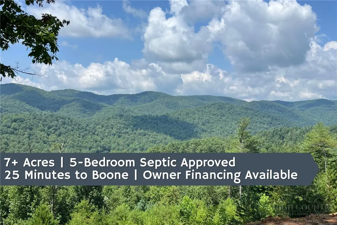TBD Lazy Bear Lane, Purlear, NC 28665 - #1