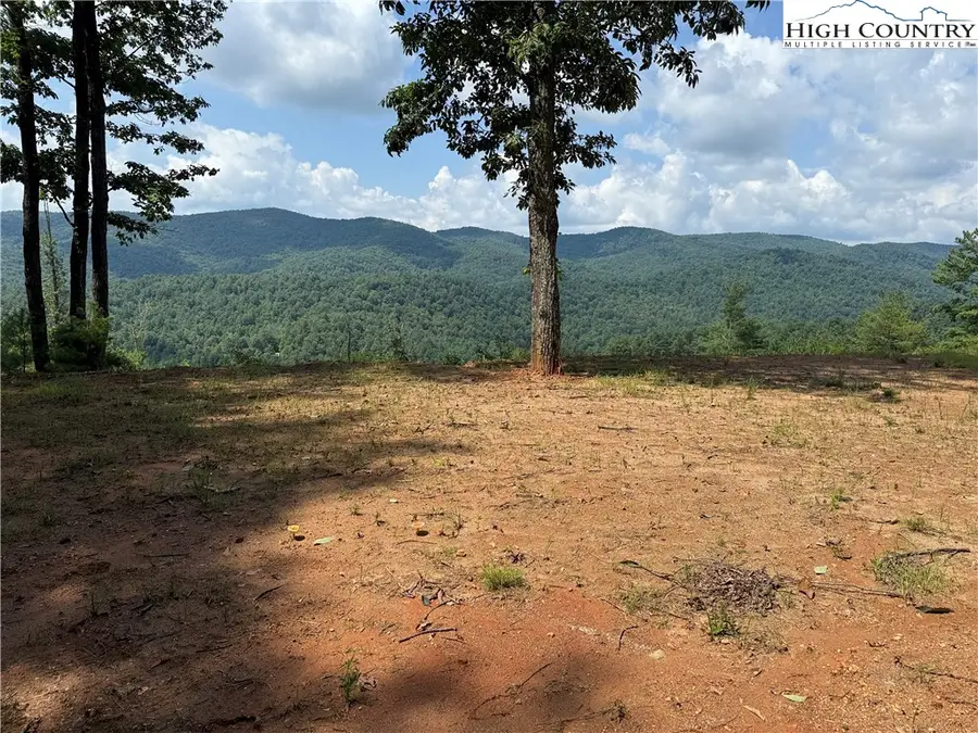 TBD Lazy Bear Lane, Purlear, NC 28665 - #2