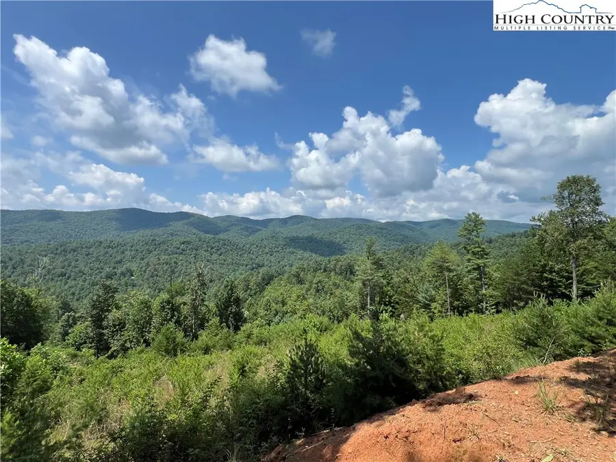 TBD Lazy Bear Lane, Purlear, NC 28665 - #3