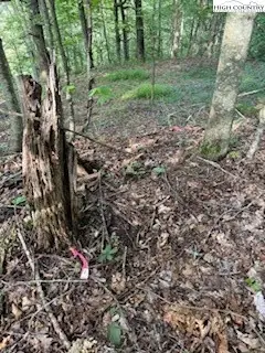 #2