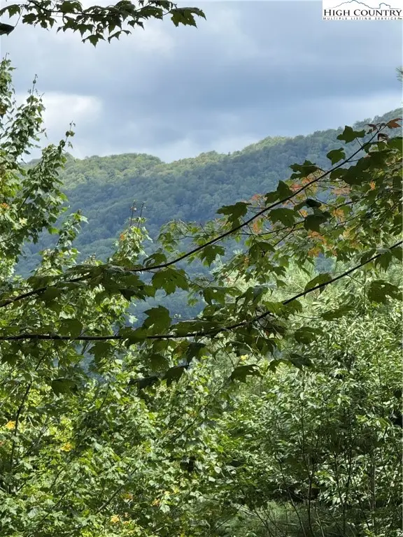 175 Ridgeview Road #2, Sugar Mountain, NC 28604 - #3