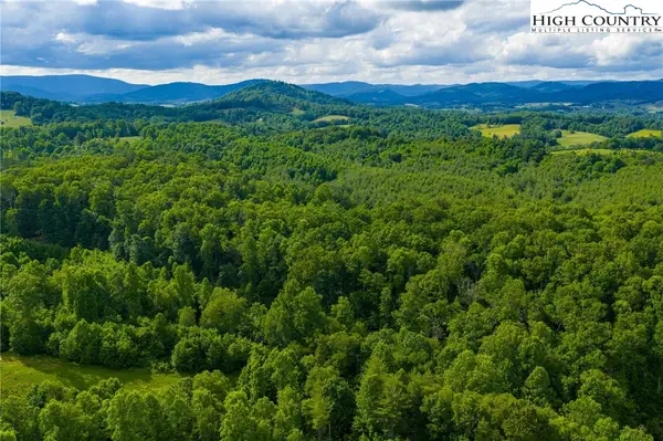 TBD Phipps Dairy Road, Piney Creek, NC 28663