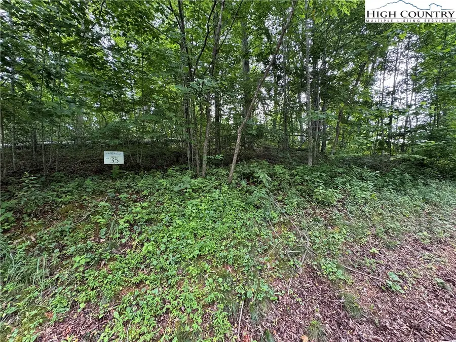 TBD Wishing Waters Edge, Creston, NC 28615 - Image #3