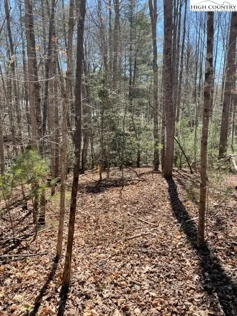 Lot #18 Blue Mountain Drive, Wilkesboro, NC 28697 - #3