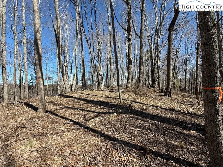 TBD Highlands Trail, Grassy Creek, NC 28631 - #3