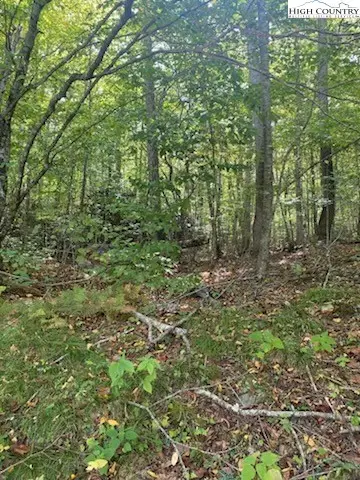 #2