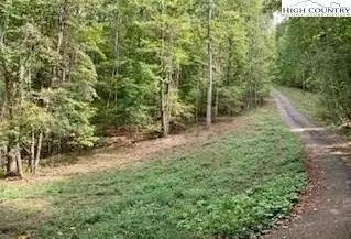 TBD Walnut Hills Circle, Crumpler, NC 28617