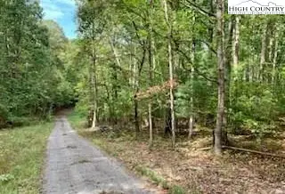 TBD Walnut Hills Circle, Crumpler, NC 28617 - #2
