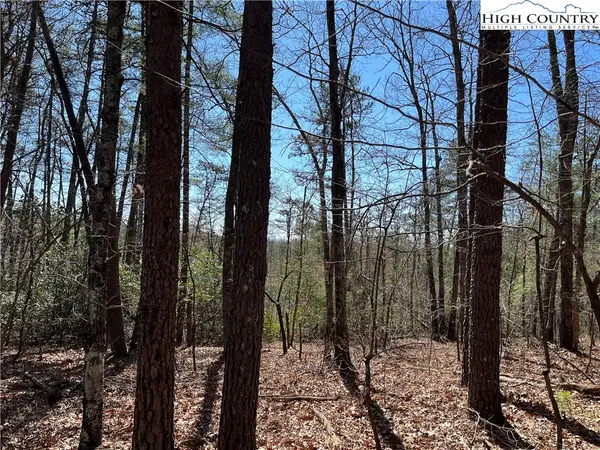 2500 Playmore Beach Road, Lenoir, NC 28645