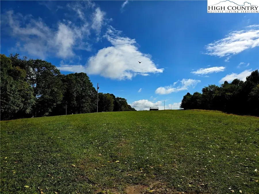 TBD Blue Ridge Church Road, Purlear, NC 28665 - #2