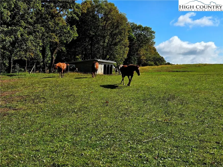 TBD Blue Ridge Church Road, Purlear, NC 28665 - #3