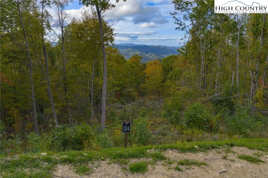 Lot 124 Tower Oaks Trail, Elk Park, NC 28622 - Image #1