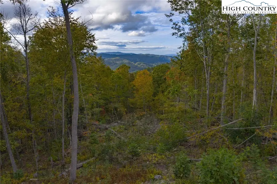 Lot 124 Tower Oaks Trail, Elk Park, NC 28622 - Image #3