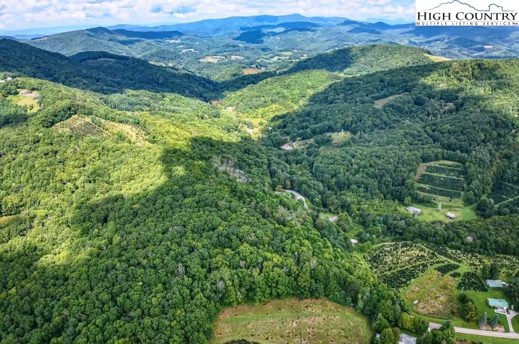 tbd Cow Camp Road, Newland, NC 28657 - #1