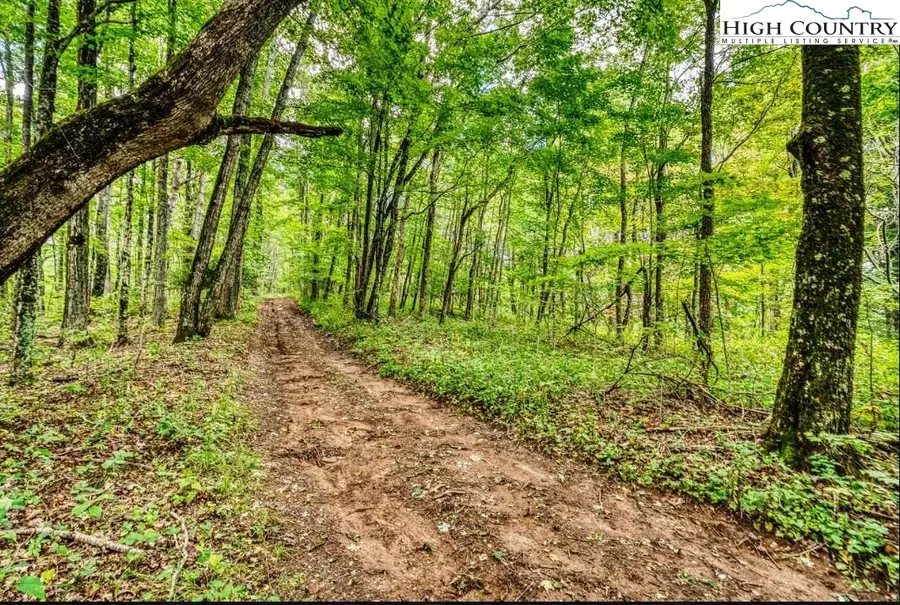 tbd Cow Camp Road, Newland, NC 28657 - #3